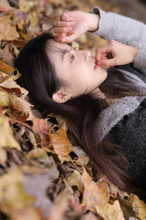 特化师4动漫免费完整在线观看