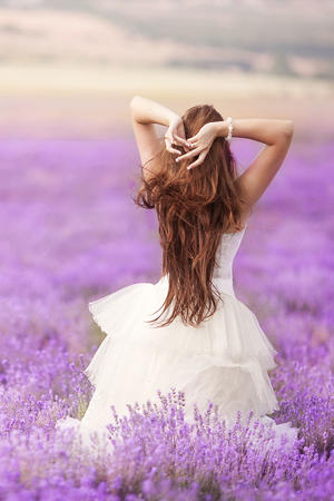 本网站服务器设在美国服务器地址