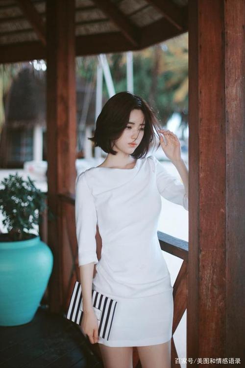 新乱世佳人电视剧9集