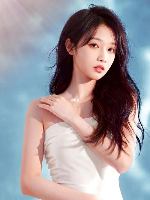 电视剧人生之路免费观看