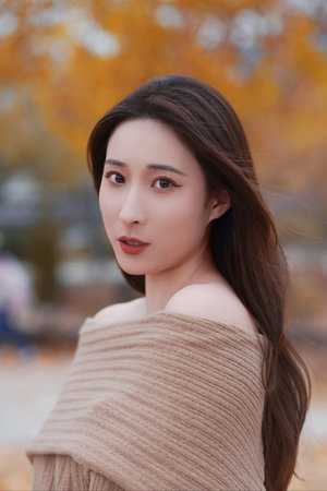 农村一级婬片片毛片