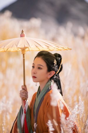 再一次爱上你电视剧