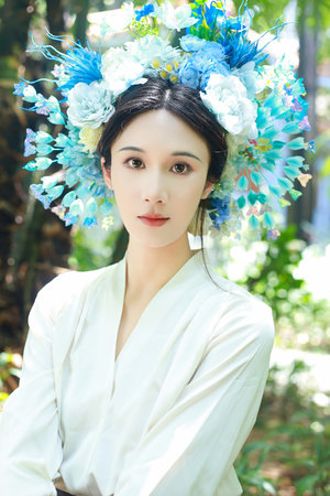 新碧血剑元彪版