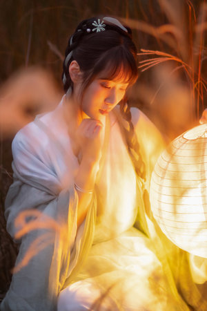 免费不卡的视频网站在线观看