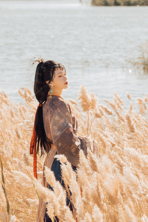 颜色程度十颗星的电影推荐