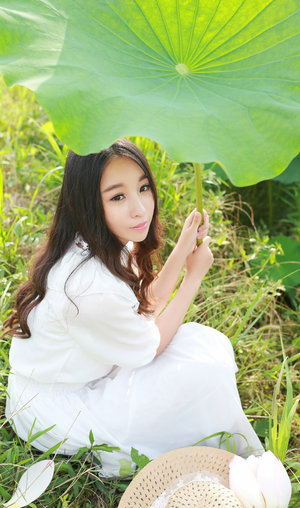 泡泡影视最新理论片