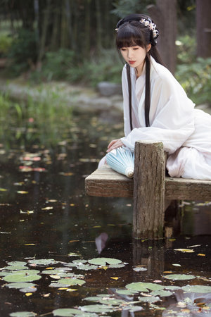 荒野大镖客2美国野花