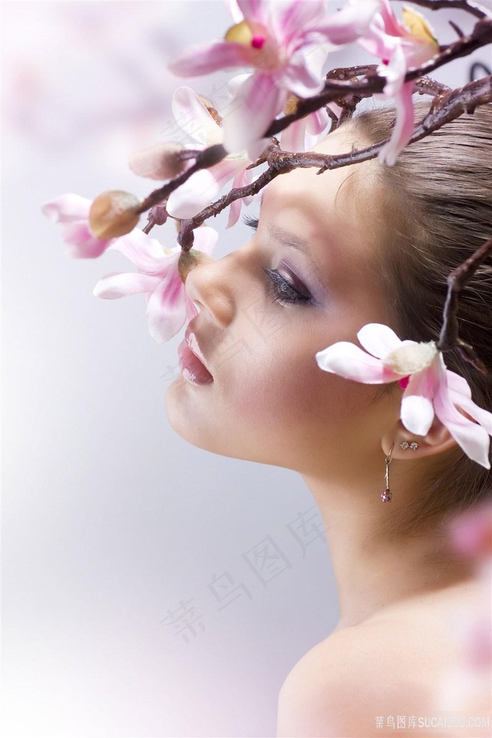 总裁的33天索情