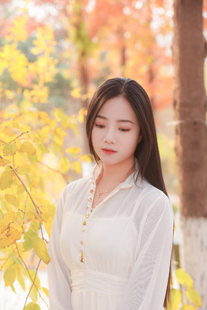 国产黄网在线观看