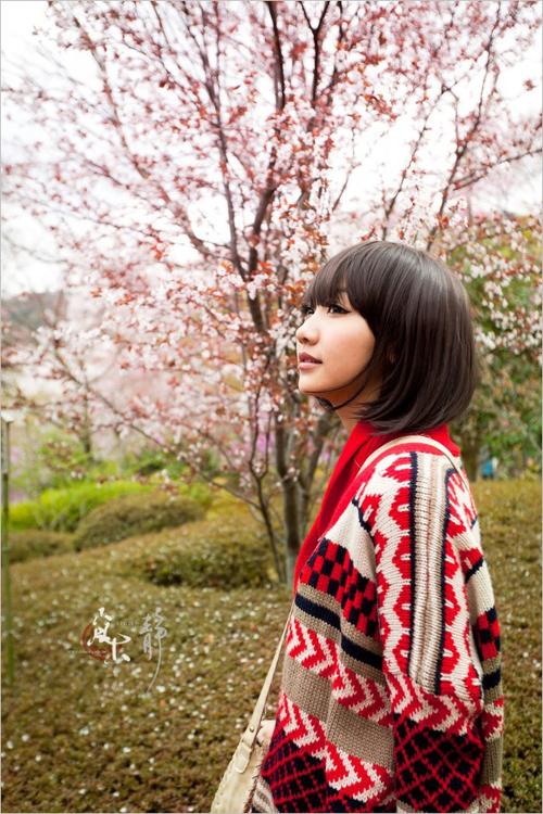 日韩一区二区免费福利在线