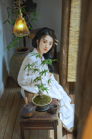 美景之屋2电影在线观看