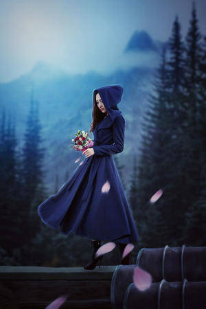 花房姑娘影院视频