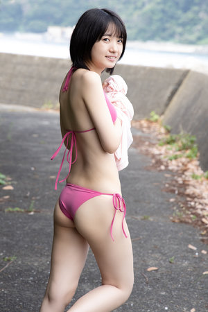 泰迪熊2迅雷下载