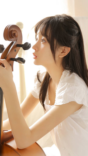 特种兵之火凤凰DVD版