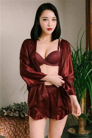 守护丽人电视剧免费观看完整版