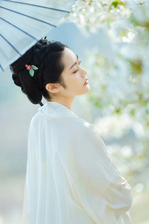 免费麻豆av在线天空传媒