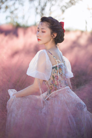 电视剧第三种幸福免费播放